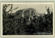 10720548 Dornach SO Dornach Goetheanum * Dornach - Sonstige & Ohne Zuordnung