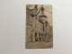Carte Postale Ancienne (1923) Visé Rue Haute Local Des Arquebusiers - Visé