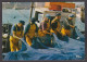 104758/ Pêche En Mer, Préparation Des Filets - Pêche