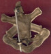 ** BROCHE  ECOLE  POLYTECHNIQUE ** - Landmacht