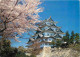 Japon - Nagoya - Nagoya Castle During The Cherry Blossom Season - Cerisiers En Fleurs - Nippon - Japan - CPM - Voir Timb - Nagoya