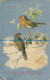 R110221 Greeting Postcard. A Happy Christmas. Birds. Max Ettlinger. The Royal - Monde