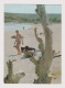 Sexy Woman, Lady With Swimwear, Bikini, Summer Beach Scene, Vintage View Photo Postcard Pin-Up RPPc AK (1317) - Pin-Ups
