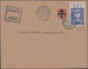 Delcampe - France: 1820/1940 (ca.), Assortment Of Apprx. 40 Covers/cards From Pre-philately - Collections