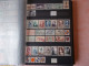 Delcampe - Lot N° 482 FRANCE Collection 1900 A 1959 Dans Un Classeur Neufs ** Cote 6700 € - Collections (en Albums)