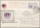 Delcampe - Sowjet Union - Postal Stationery: 1960/1996 (ca.), Mainly 1990s, Balance Of Appr - Zonder Classificatie