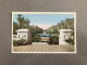 Alger - Le Jardin D'Essai Carte Postale Postcard - Algiers