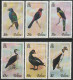 THEMATIC FAUNA:  BIRDS OF BELIZE (2nd Series)  WHITE CROWNED PARROT,CITREOLINE TROGON,KING VULTURE ETC  6v+BF     BELIZE - Autres & Non Classés