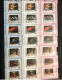 UMM AL QIWAIN 1973 1972 Complete 96v Used Rose Mi 1466 1481 B Bleu 1306 1321 Blanc Pez Fish Peixe Fisch Pesce Poisson - Poissons