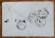 1869 Busta Da MEDOLE+NUMERALE PUNTI+timbro SARDO Su REGNO Di MEDOLE+4 Timbri-H719 - Marcophilie