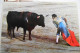 Corrida Detoros - Corrida