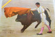 Corrida De Toros El Viti - Stierkampf