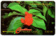 Cayman Islands - Broadleaf Flower - 94CCIB (with Ø) - Kaimaninseln (Cayman I.)