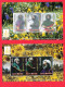 WW14532- MONGÓLIA 1999- MNH_ MÚSICA_ JERRY GARCIA - Chanteurs