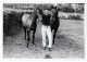 Photo Ancienne, Beau Jeune Homme Tenant Deux Chevaux Noirs, Gay Int, Années 1950 - Zonder Classificatie