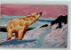 13062611 - Baeren Eisbaer - Kuenstlerkarte AK - Bären