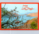 22-5-2024 (5 Z 48) Australia - WA - Lake Argyle (2 Postcards) - Sonstige & Ohne Zuordnung