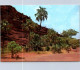 22-5-2024 (5 Z 48) Australia - NT - Palm Valley - Non Classés