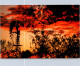 22-5-2024 (5 Z 48) Australia - Bush Sunset (2 Postcards) 1 With Windmill - Moulins à Vent