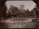 Fotografie Brück & Sohn Meissen, Ansicht Grossenhain, Die Rosenflora Im Alten Stadtpark  - Orte