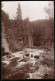 Fotografie Brück & Sohn Meissen, Ansicht Marienberg I. Sa., Partie An Der Teufelsmauer Im Schwarzwassertal  - Lieux