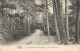 77-FONTAINEBLEAU LA FORET-N°T5317-E/0357 - Fontainebleau