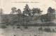 77-FONTAINEBLEAU LA FORET-N°T5318-B/0309 - Fontainebleau