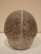 Escultura Erótica De Piedra Caliza Con Nummulites Fosiles Representando Un Pene O Glande. - Pietre E Marmi