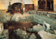 [-5%] ROYAUME UNI - Hastings - The Roman Baths - The East Bath - Natatio - Cold Swimming - Carte Postale Ancienne - Hastings