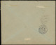 Let LEVANT 20 : 2pi. S. 50s. Brun Et Gris Obl. Càd VATHY 29/3/10 S. Env. Rec., Passage SMYRNE Et Arr. Paris, TB - Other & Unclassified