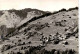 Pany 1250 M (253) * 4. 3. 1958 - Luzein