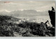 52201542 - Ajaccio - Ajaccio