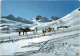 Marguns, Schlepplift (1/259) * 2. 3. 1969 (81771) - Tujetsch