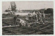 Ansichtkaart-postcard Zuiderzeewerken Vanaf Lelystad En Harderwijk (NL) De Kraagstukken - Harderwijk