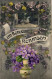 55095282 - Le Plessis-Robinson - Le Plessis Robinson