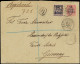 Lettre N°24 Et 28 : 2 1/2a S. 25c Noir S. Rose Et 5a S. 50c Rose, Obl. Càd ZANZIBAR 27/8/99 S. Env. Rec., Arr. HUTZFELD, - Other & Unclassified