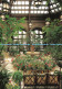 D097587 The Winter Garden In Baltimore House. Baltimore Company - Monde