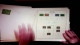 Lot # 052 UNITED STATES 19th & 20th Century Remainder Collection Of Many Hundreds Of Stamps Incl. Cut Squares - Used Stamps