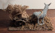 Figurine Âne Avec Chariot Et Vrai Mousse - Tiere