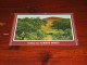 85149-          FLINDERS RANGES - Flinders Ranges