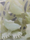 Delcampe - -EXCEPTIONNEL SUJET CARPE KOÏ PIERRE DURE COULEUR JADE JADEITE ORIENT CHINE    E - Pietre E Marmi