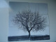 GREECE USED CARDS SET 6 DOUBLE PUZZLES PLANTS TREE  2 SCAN - Puzzles