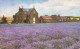 R593843 England Norfolk Heacham Caley Mill Norfolk Lavender - Monde