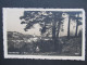 AK Steinakirchen Am Forst B. Scheibbs 1935//  D*61020 - Scheibbs