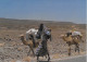 CPSM - Djibouti - Caravanes (Photo A.M. BREGER ) - Dschibuti