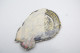 Militaria - PATCH : Original VIETNAM WAR US ARMY 504TH INFANTRY REGIMENT DEVILS UNIT - United States - Material : Cloth - Uniforms