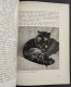 Manuale Pratico Per Gli Amici Del Gatto - V. Manass? - Ed. Encia - 1973                                                 - Pets