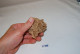 C189 Rose Des Sables - Fossili