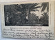 SELTENE AK ! "DENKMAL DES ERSTEN GEFALLENEN MATROSEN BUGGE UNSER KAMERUN" Stpl 1900 (cpa Ppc Deutsche Kolonien - Kamerun