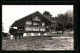 AK Kandergrund, Ferienheim D. M.-K. Birsfelden  - Kandergrund
